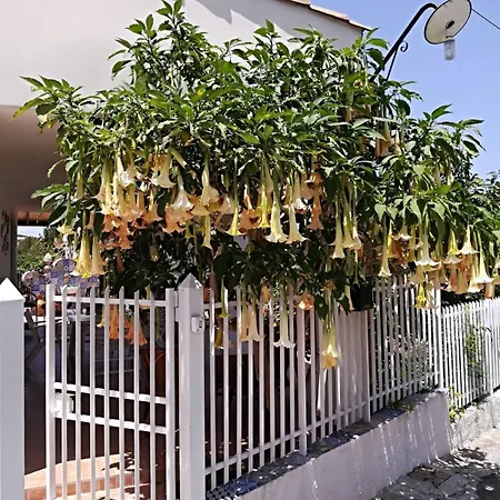 Casa Vacanze Rubino Trabia
